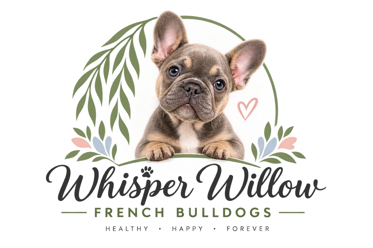 Whisper Willow French Bulldogs